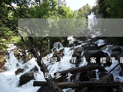 房屋侵占罪立案標準(最新侵占罪立案標準金額是多少)