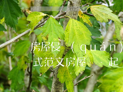 房屋侵權(quán)起訴書(shū)格式范文(房屋糾紛起訴書(shū)怎樣寫(xiě))