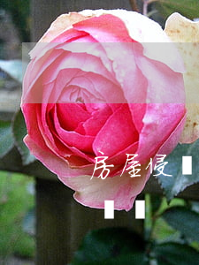 房屋侵權起訴書格式范文(房屋糾紛起訴書怎樣寫)