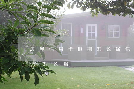 房屋信用卡逾期怎么辦(信用卡逾期但是有房子怎么辦)