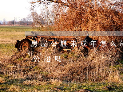 房屋公證未成年怎么放棄繼承(放棄繼承需要公證嗎?)
