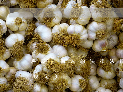 房屋共有人的法律法规(房产证共有人最新规定)