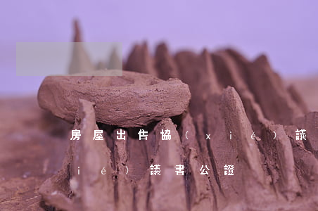 房屋出售協(xié)議書(房屋出售協(xié)議書公證)