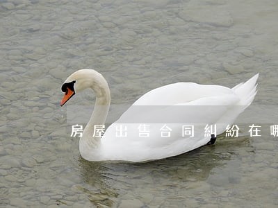 房屋出售合同糾紛在哪里起訴