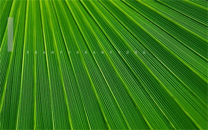房屋出租中介(房屋出租中介費誰出)