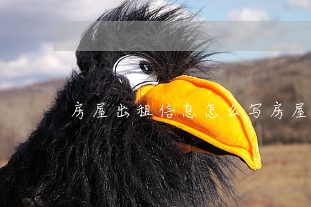 房屋出租信息怎么写(房屋出租信息怎么写好)