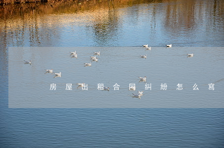 房屋出租合同糾紛怎么寫