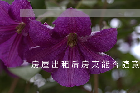 房屋出租后,房東能否隨意帶人看房