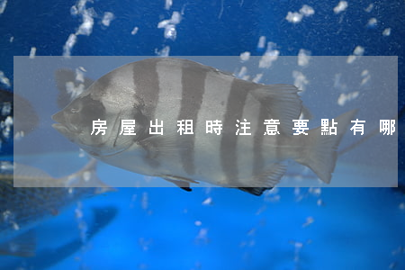 房屋出租時注意要點有哪些