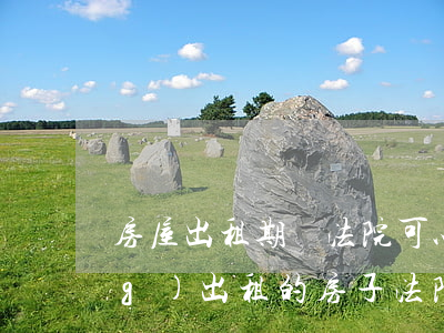 房屋出租期間法院可以拍賣嗎(已經(jīng)出租的房子法院拍賣合同有效嗎)