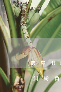 房屋出讓方不配合辦理土地證 引發(fā)糾紛負(fù)全責(zé)