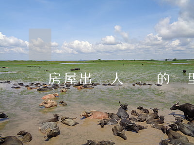 房屋出賣人違約的類型