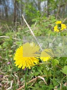 房屋動遷律師講堂(房屋動遷律師講堂)