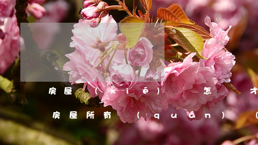 房屋協(xié)議書怎樣寫才有法律效力(房屋所有權(quán)協(xié)議書怎么寫才有效)