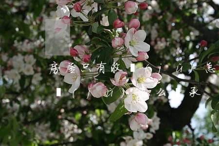 房屋只有收據(jù)怎么繼承(房屋只有收據(jù)怎么繼承)