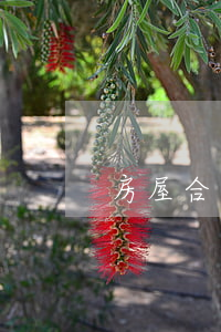 房屋合同有問題追訴期是多久
