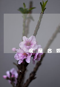 房屋合同糾紛如何維權(quán)