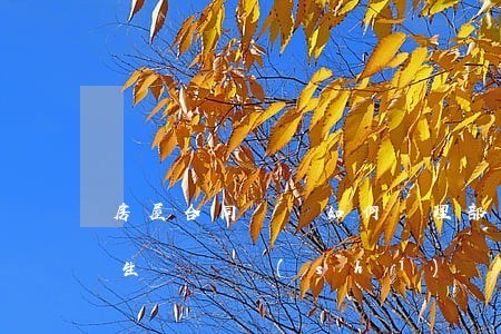 房屋合同糾紛如何處理部門(合同發(fā)生糾紛時(shí)應(yīng)該怎么處理)