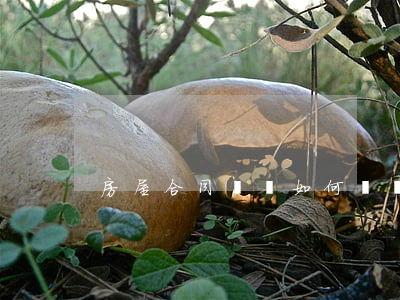 房屋合同糾紛如何賠償