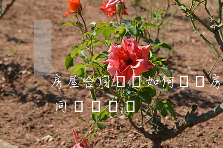 房屋合同糾紛如何賠償(房產(chǎn)合同違約賠償)