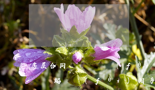 房屋合同糾紛訴訟費(fèi)多少錢(房屋糾紛起訴費(fèi)用多少)