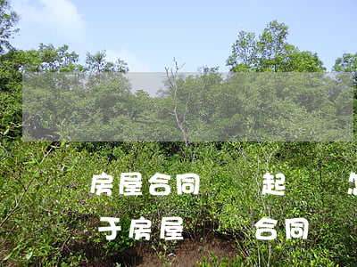 房屋合同糾紛起訴書怎么寫(關(guān)于房屋買賣合同糾紛起訴狀怎么寫)