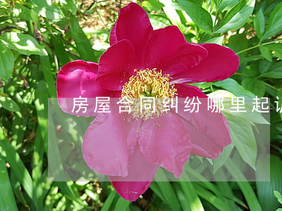房屋合同纠纷哪里起诉