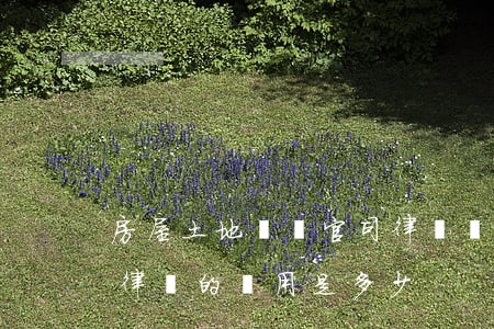 房屋土地糾紛官司律師費用(土地糾紛打官司律師的費用是多少)