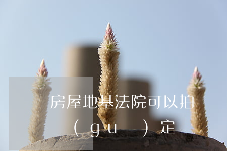 房屋地基法院可以拍賣嗎(法院拍賣在建工程規(guī)定)