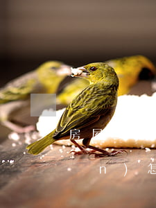 房屋多人繼承怎么過戶(多人繼承房產(chǎn)怎么過戶)