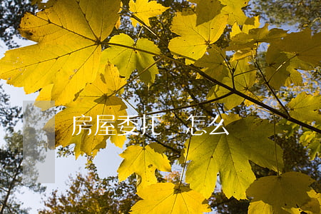 房屋委托書怎么寫