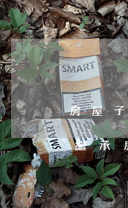 房屋子女繼承協(xié)議書怎么寫(子女繼承房產(chǎn)證明怎么寫)