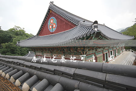 房屋宅基地可以繼承嗎