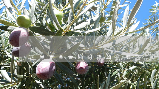 房屋定金合同糾紛如何處理
