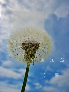 房屋定金糾紛怎么處理，開(kāi)發(fā)商違約怎么處理？