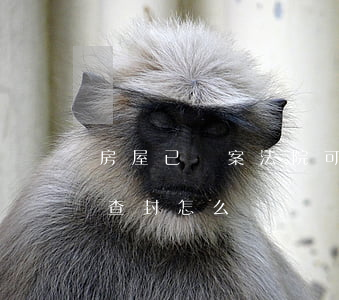 房屋已備案法院可以查封嗎(買房未備案法院查封怎么辦)