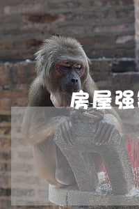 房屋强制执行公证效力是什么