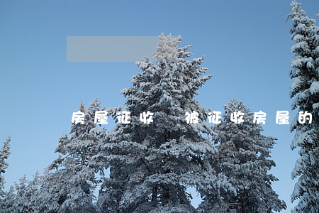 房屋征收時,被征收房屋的價值補償包括哪些