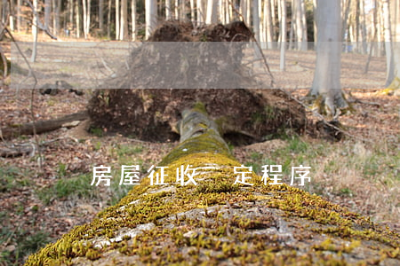 房屋征收決定程序