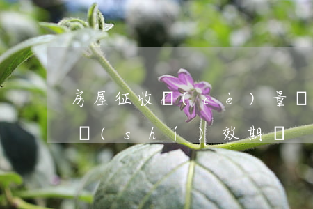 房屋征收測(cè)量評(píng)估有時(shí)效期嗎