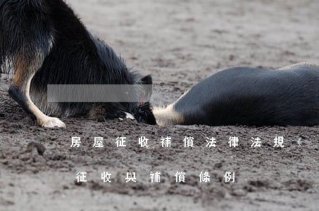 房屋征收補償法律法規(guī)(國家房屋征收與補償條例)