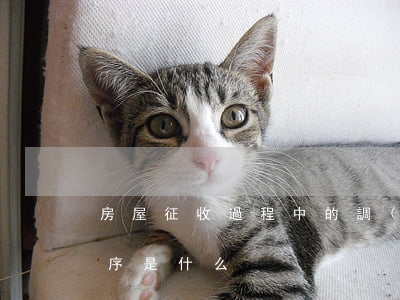 房屋征收過程中的調(diào)查登記程序是什么