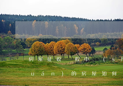 房屋征收過程中設(shè)有抵押權(quán)的房屋如何補償