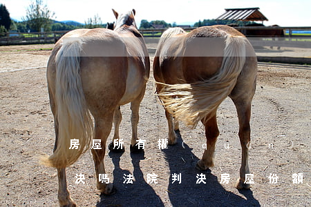 房屋所有權(quán)法院可以判形成判決嗎(法院判決房屋份額可以執(zhí)行嗎)