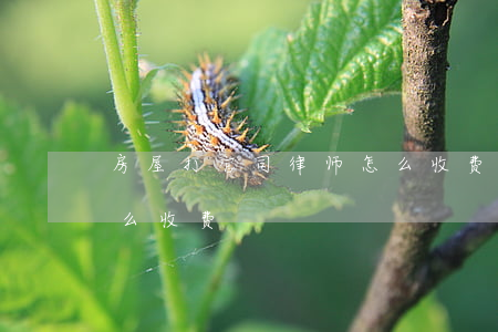 房屋打官司律师怎么收费(房屋打官司律师怎么收费)