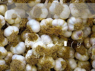 房屋承租人應(yīng)履行什么義務(wù)