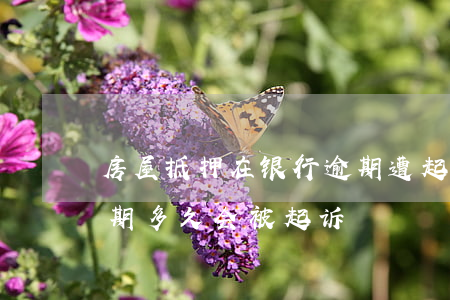房屋抵押在银行逾期遭起诉(房屋抵押贷款逾期多久会被起诉)
