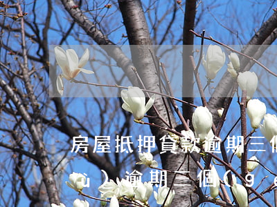 房屋抵押貸款逾期三個(gè)月(連續(xù)逾期三個(gè)月影響按揭貸款嗎)