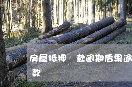 房屋抵押貸款逾期后果(逾期嚴重,抵押可以貸款嗎)