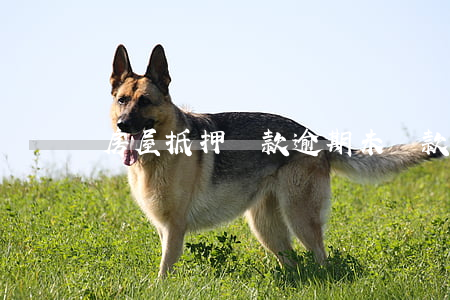 房屋抵押貸款逾期未還款(抵押貸款 逾期)